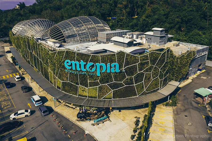 entopia01